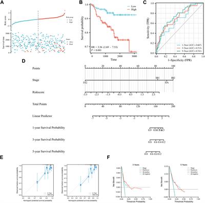 Ferroptosis-related genes in cervical cancer as biomarkers for predicting the prognosis of gynecological tumors